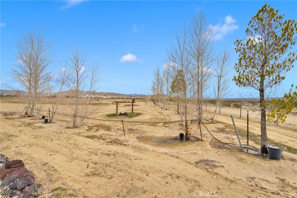 47424 Paddington Property Photo 45