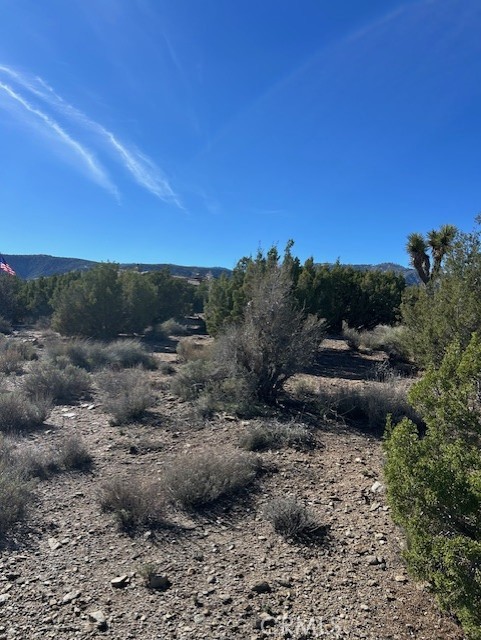 0 Sky Line Drive Property Photo 2