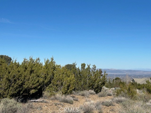 0 Sky Line Drive Property Photo 10