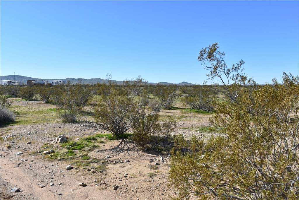 24 Frontier Property Photo 4