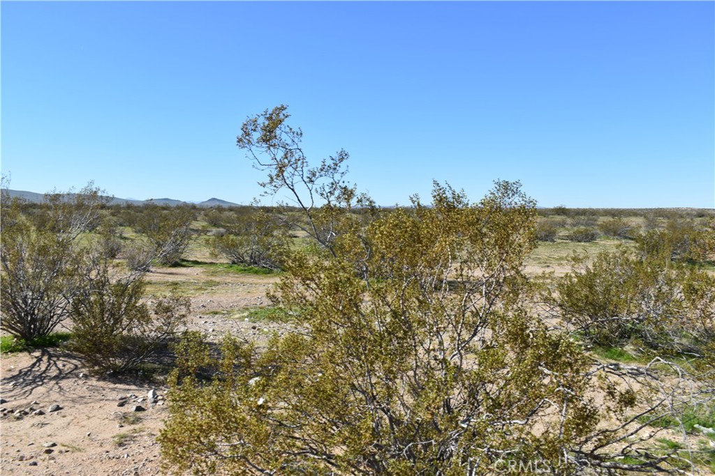 24 Frontier Property Photo 5