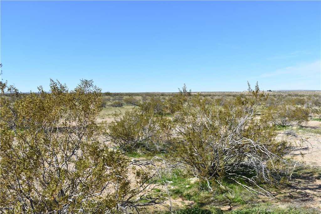 24 Frontier Property Photo 7