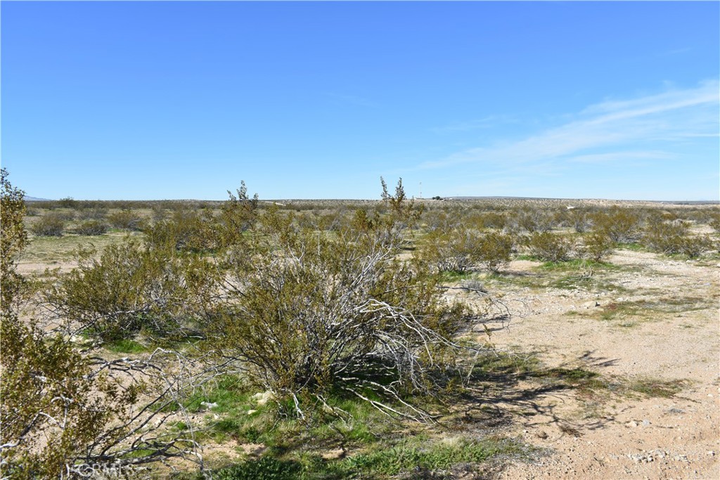 24 Frontier Property Photo 8