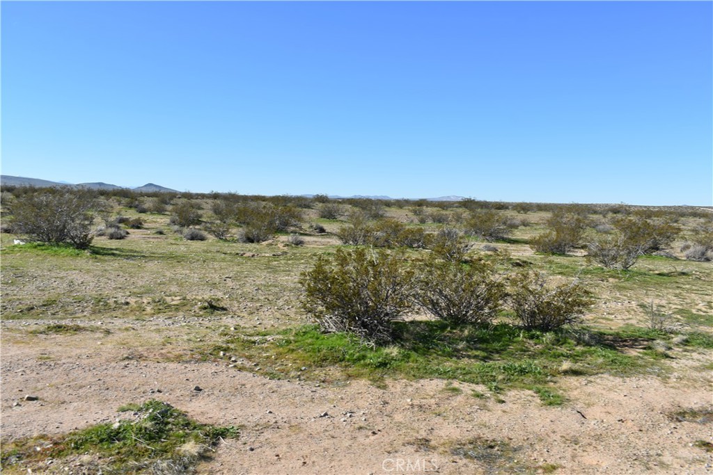 24 Frontier Property Photo 18