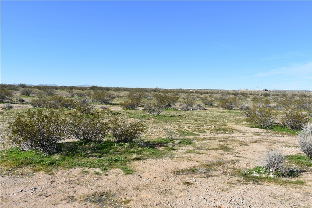 24 Frontier Property Photo 19