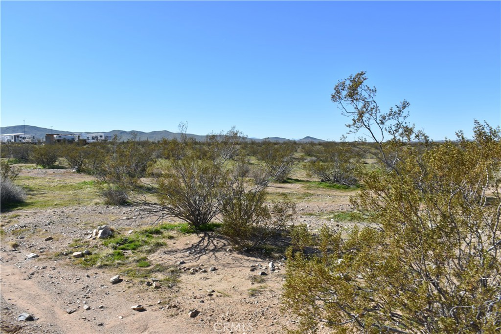 25 Frontier Property Photo 4