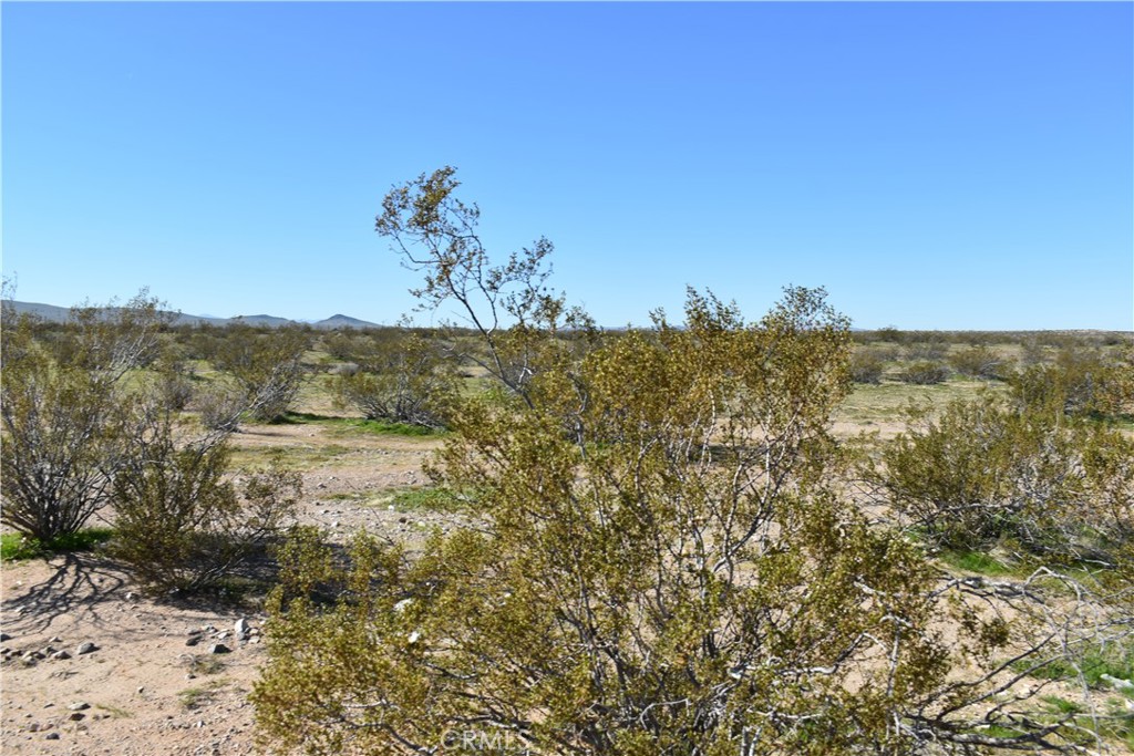 25 Frontier Property Photo 5