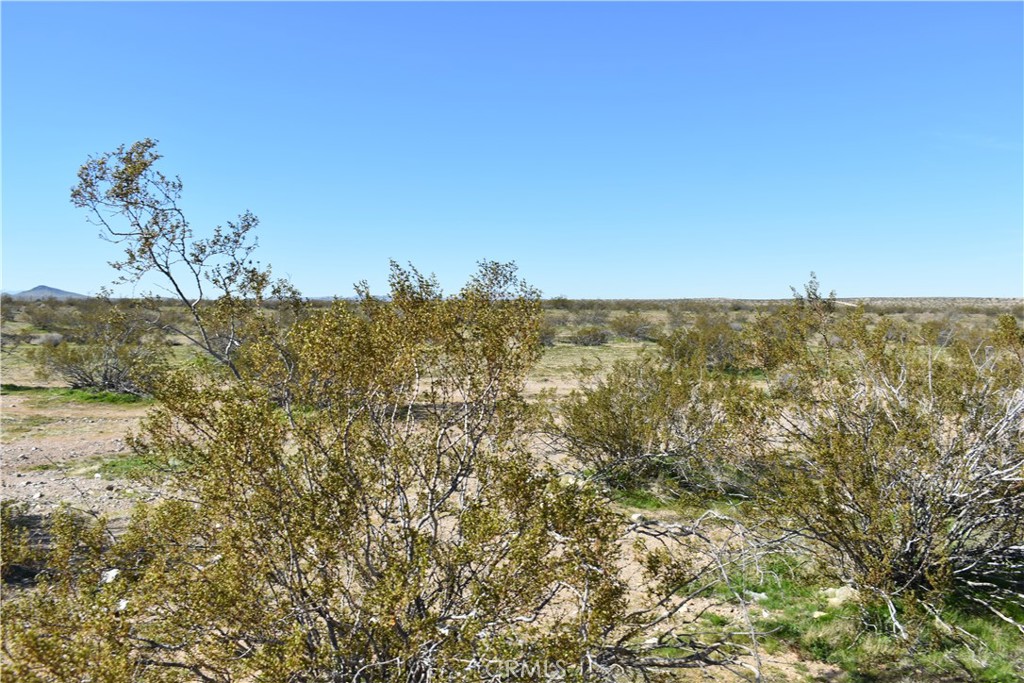 25 Frontier Property Photo 6