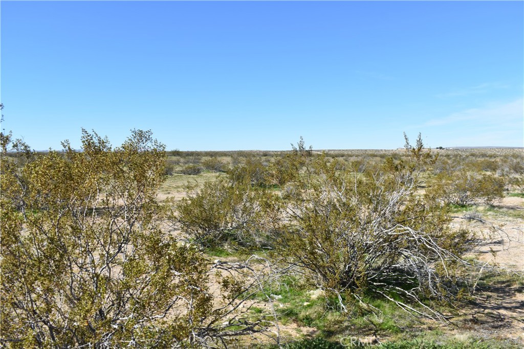 25 Frontier Property Photo 7