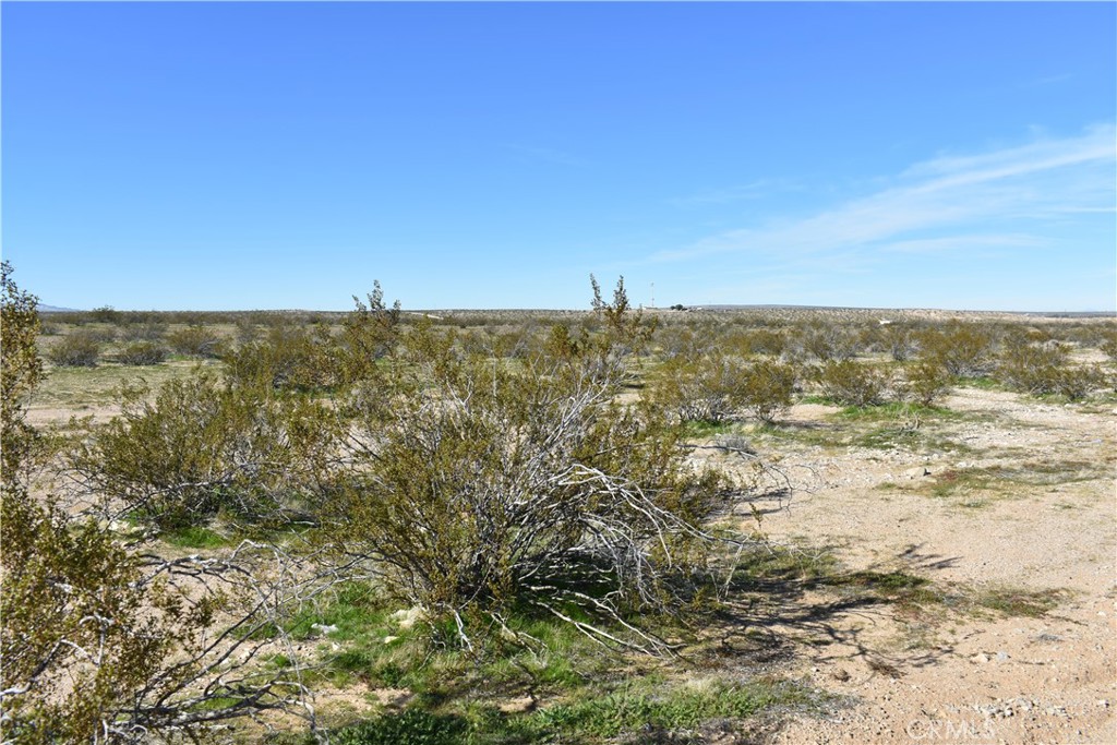 25 Frontier Property Photo 8