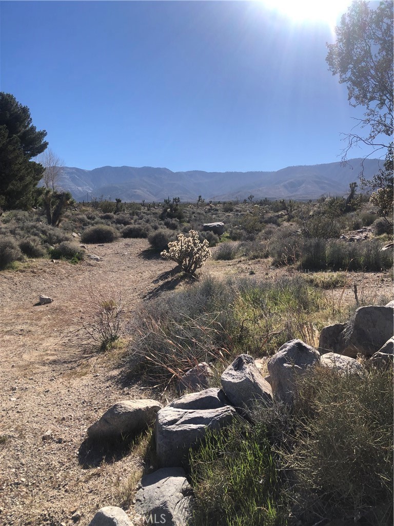 31875 Sapphire Road Property Photo 33