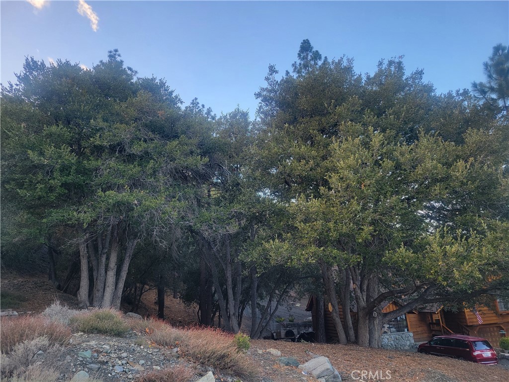 0 Desert View Property Photo 2