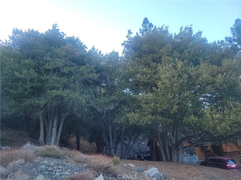 0 Desert View Property Photo 3