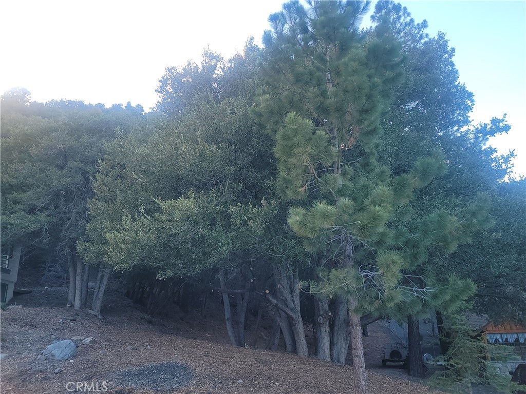 0 Desert View Property Photo 4