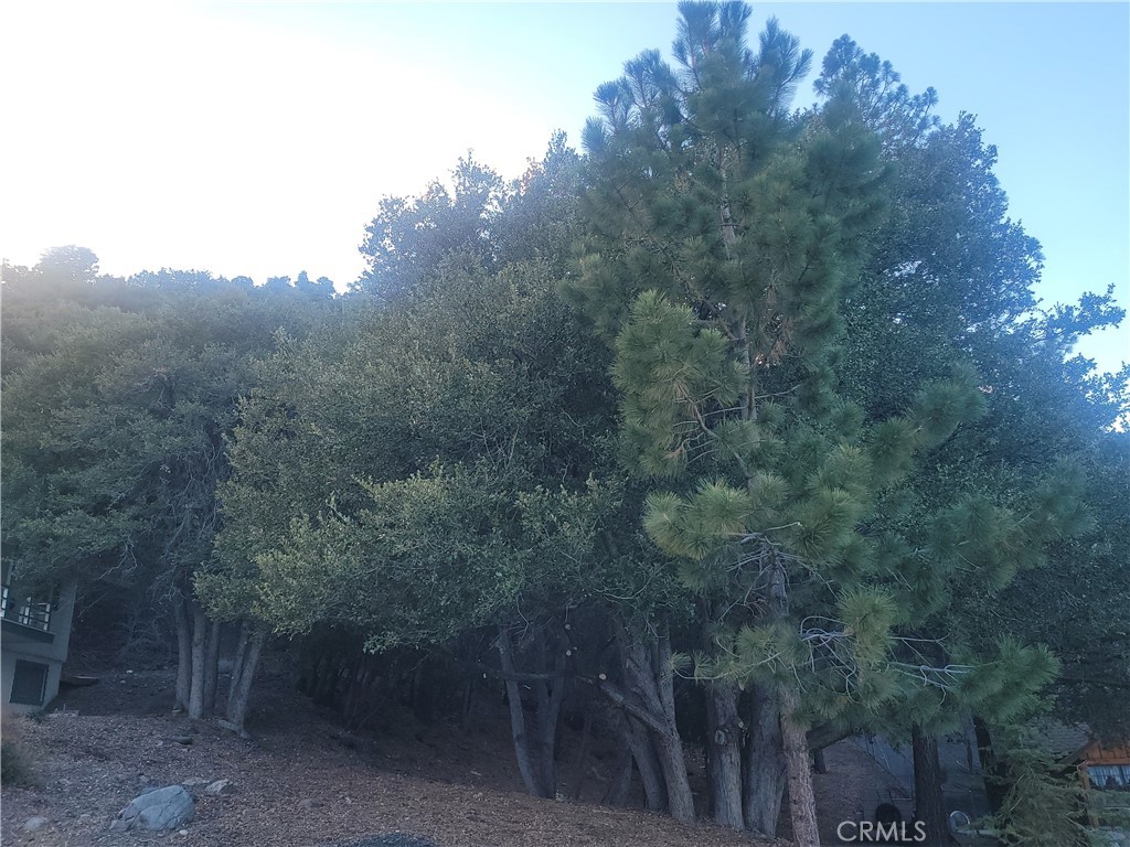 0 Desert View Property Photo 5
