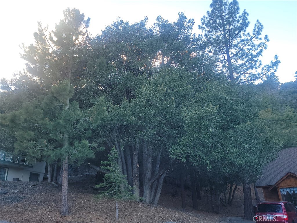 0 Desert View Property Photo 6