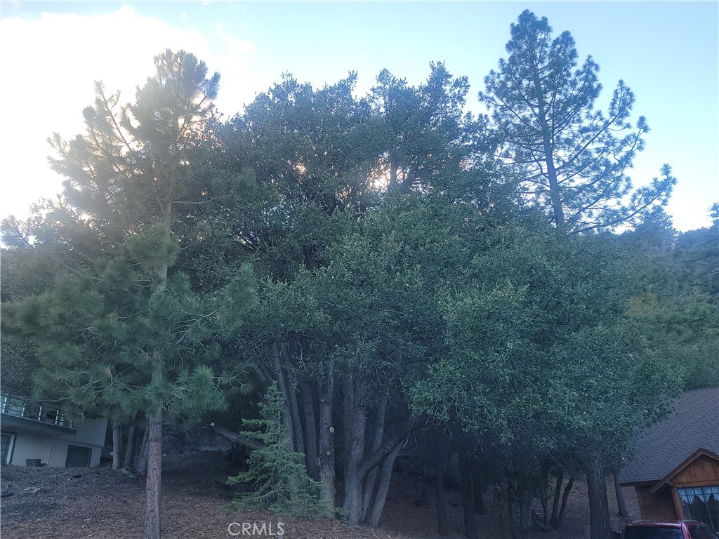 0 Desert View Property Photo 7