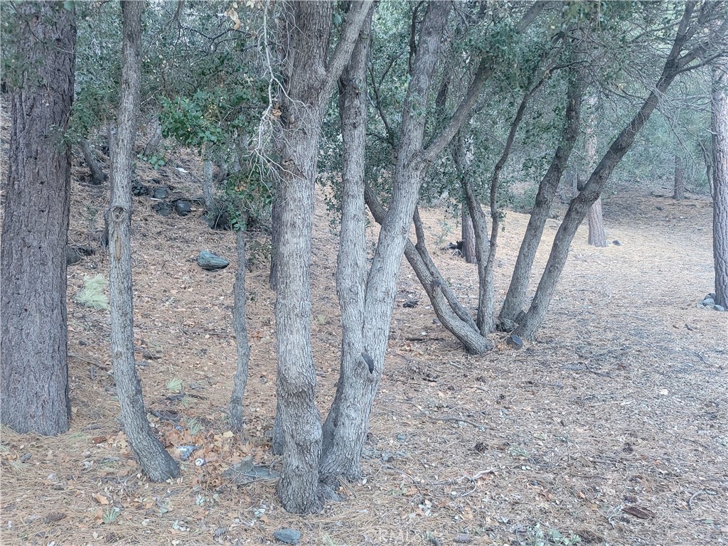 0 Desert View Property Photo 8