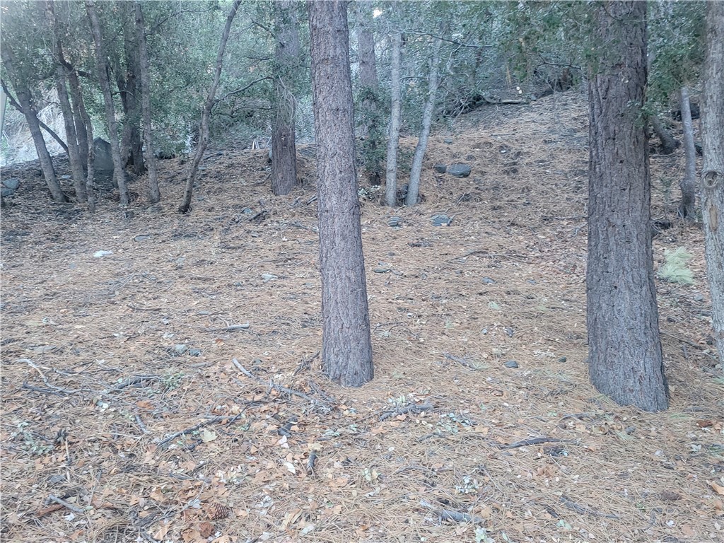 0 Desert View Property Photo 9