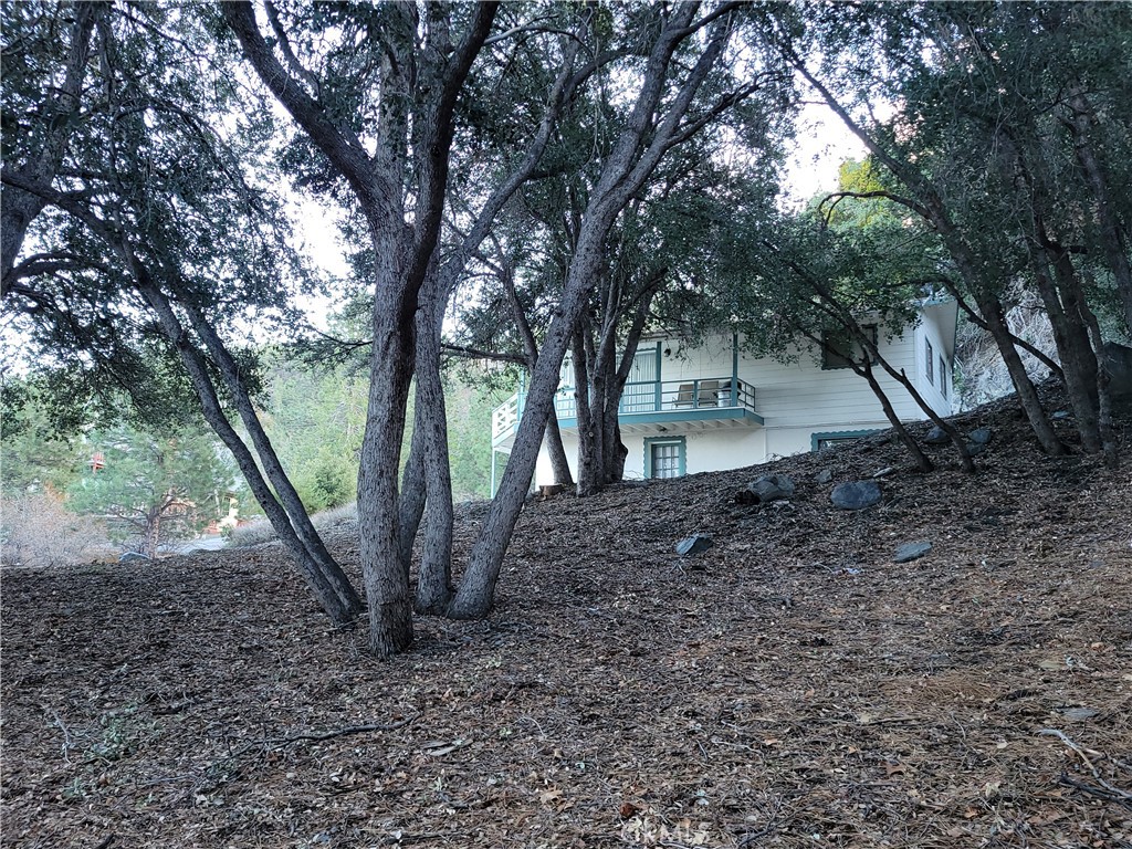 0 Desert View Property Photo 10