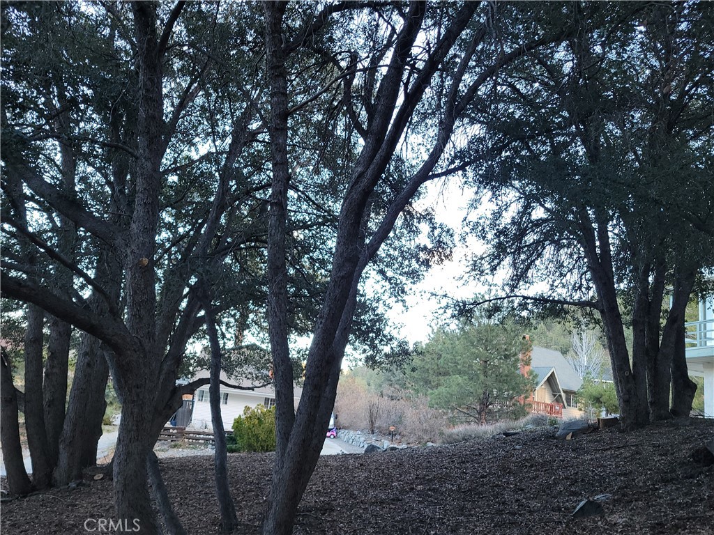 0 Desert View Property Photo 11