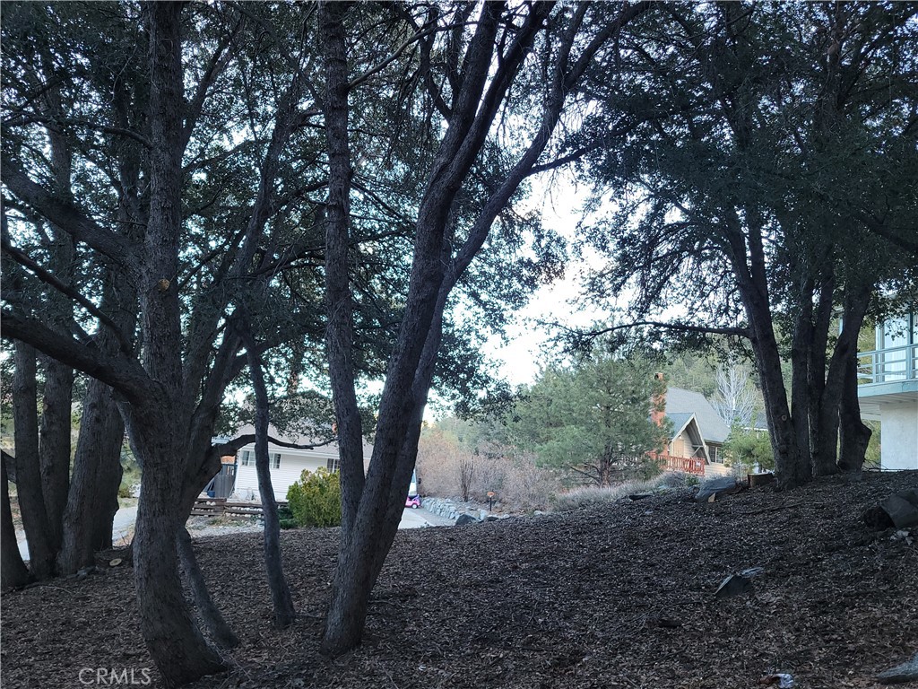 0 Desert View Property Photo 12