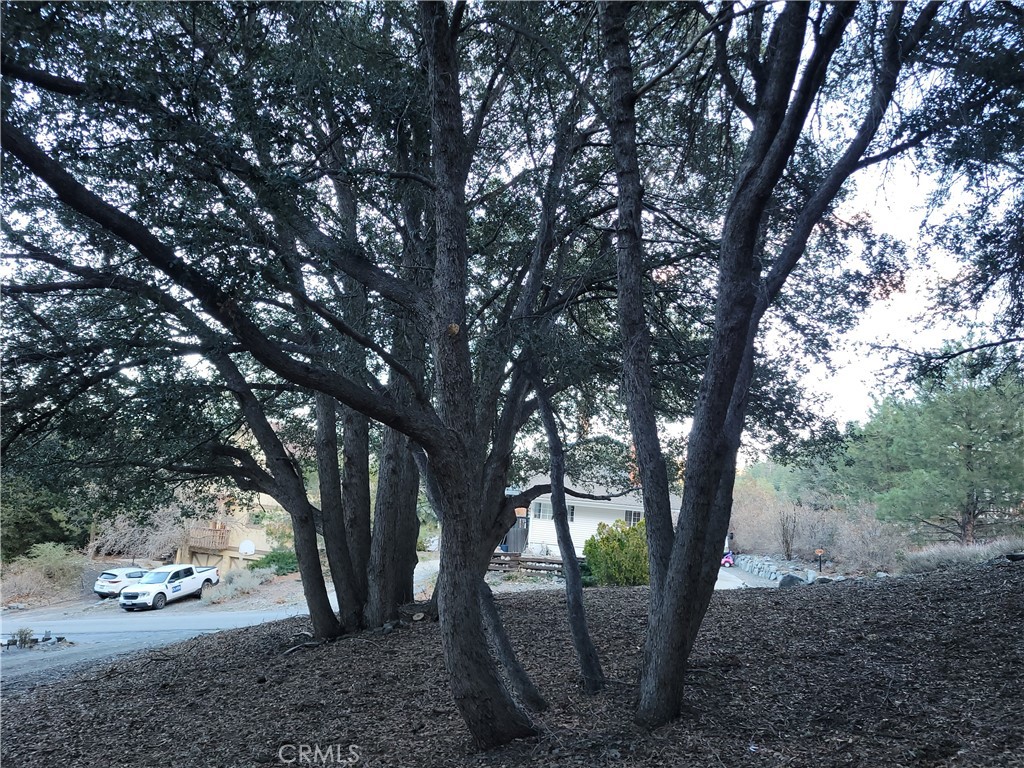 0 Desert View Property Photo 13