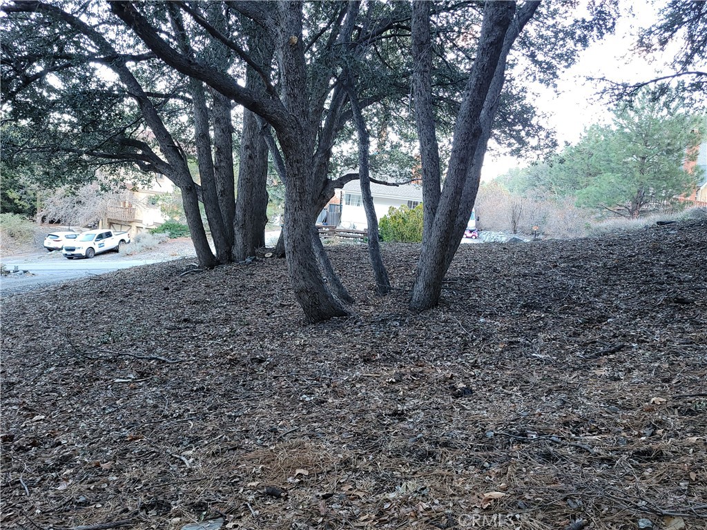 0 Desert View Property Photo 15