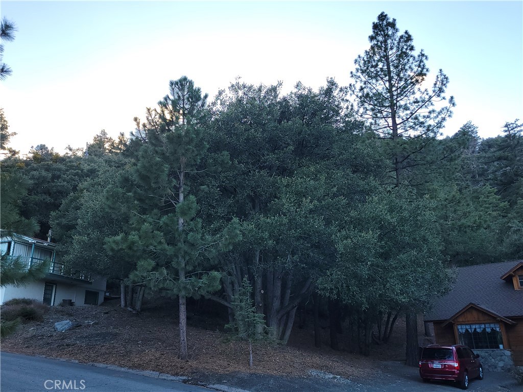0 Desert View Property Photo 16