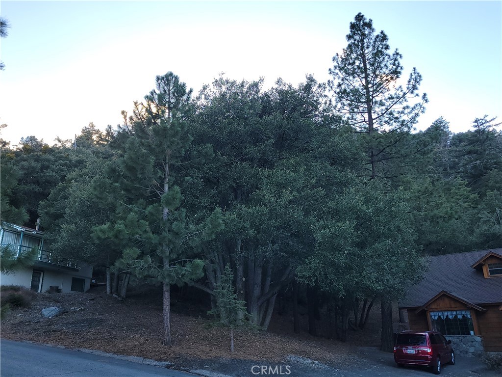 0 Desert View Property Photo 17