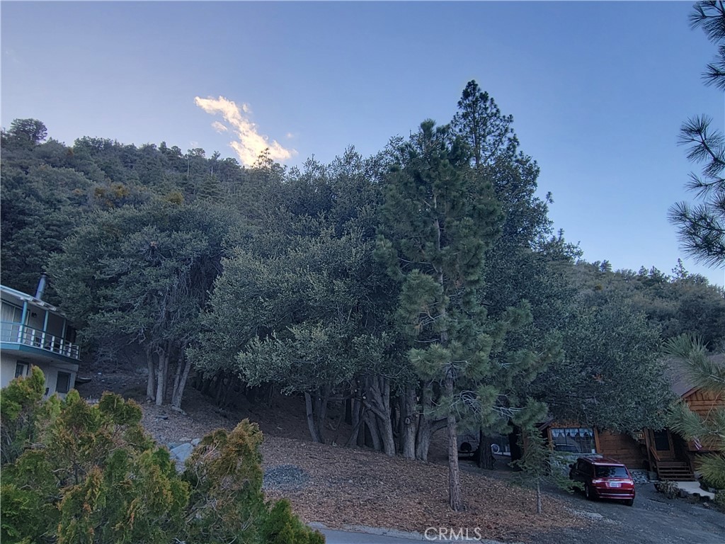 0 Desert View Property Photo 18