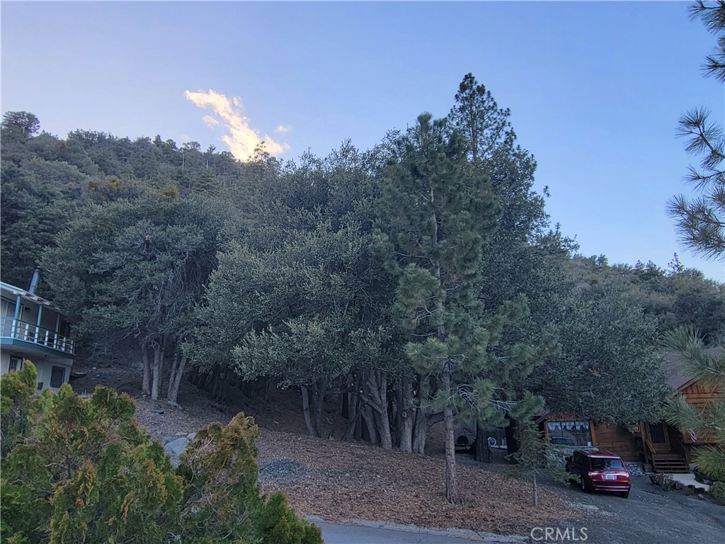 0 Desert View Property Photo 19