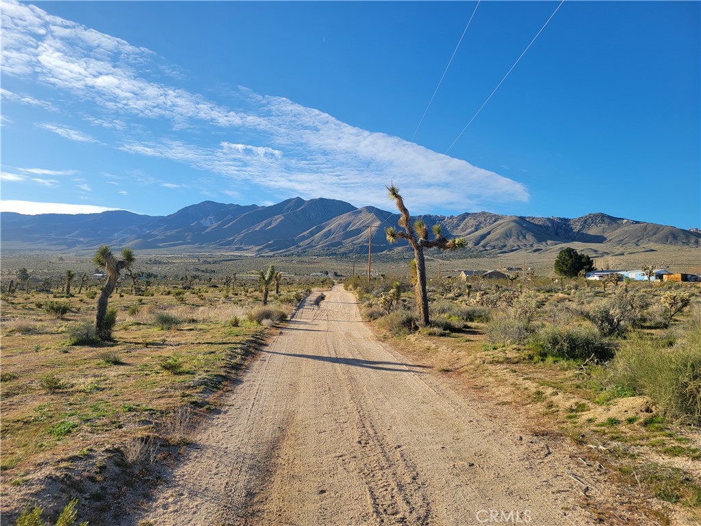 0 Dodge Road Property Photo 1