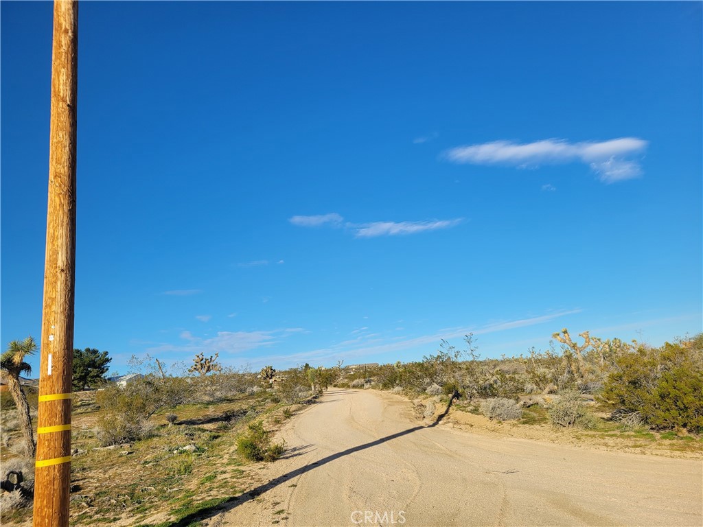 0 Dodge Road Property Photo 5