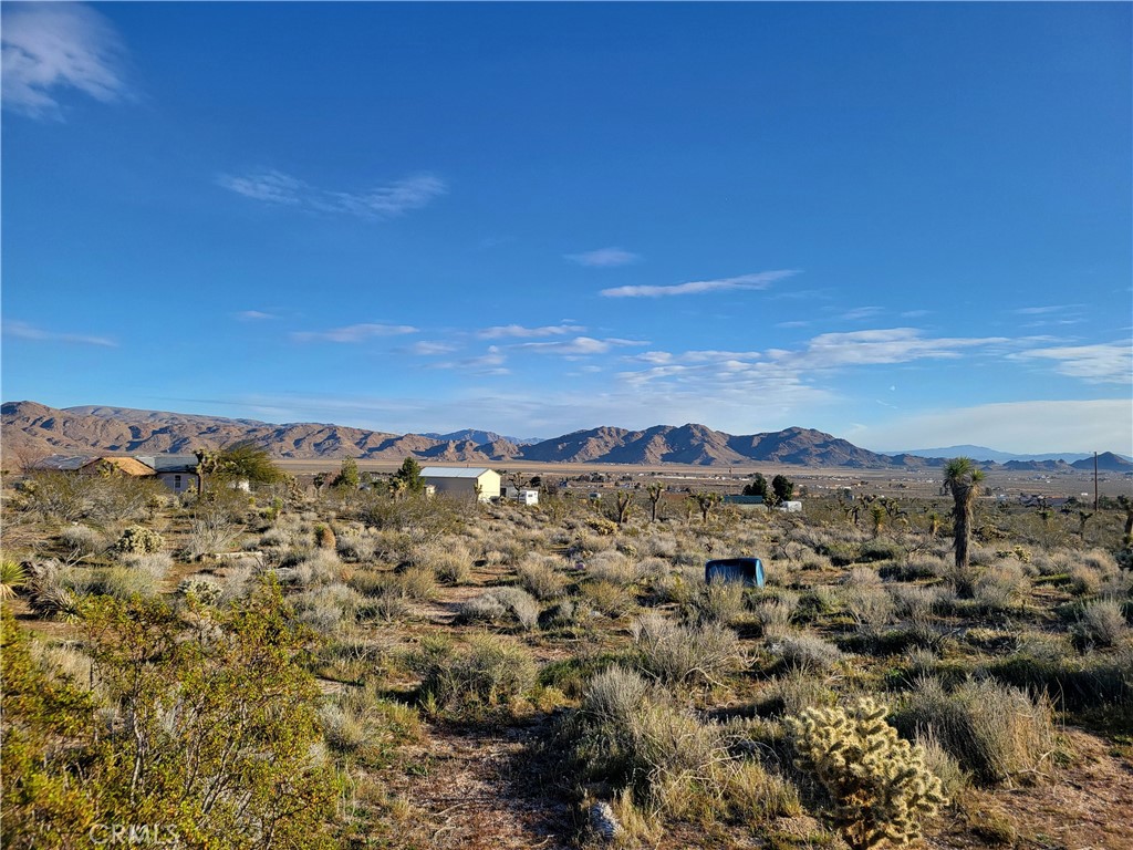 0 Dodge Road Property Photo 8