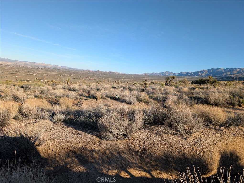 0 Joshua Parcel #0432-032-06 Road Property Photo 1