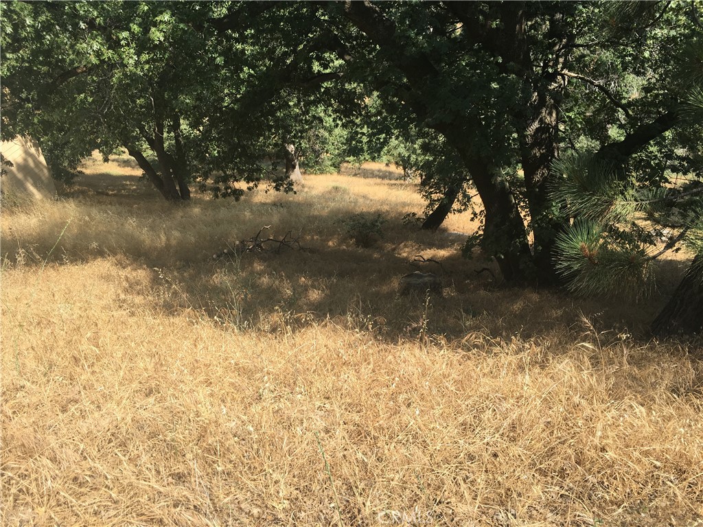 30481 Live Oak Property Photo 1