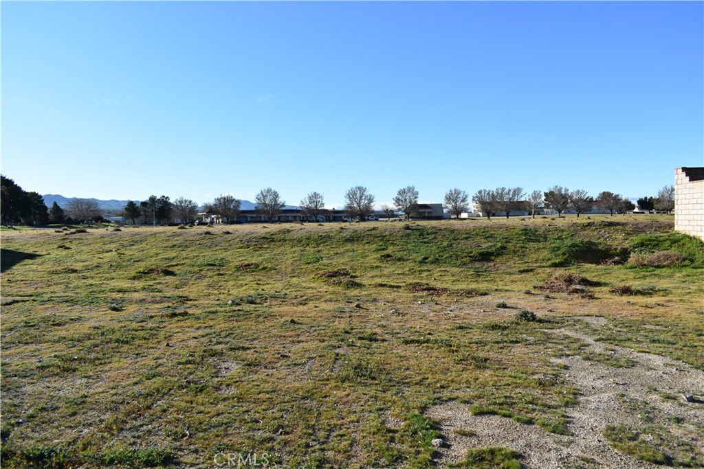 27237 Peach Tree Lane Property Photo 2
