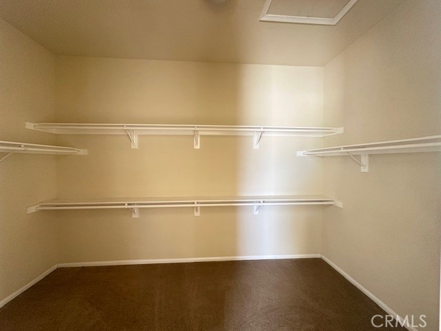 19721 Chicory Court Property Photo 20