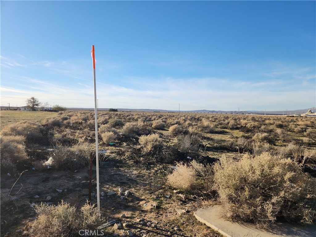 10 Ac Edie Road Property Photo 9