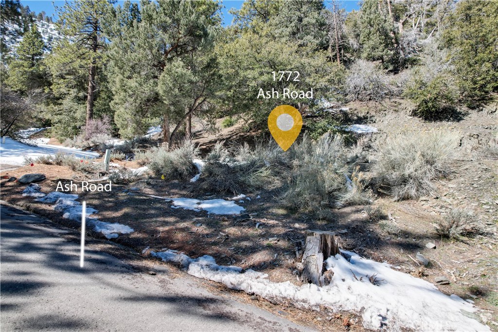 1772 Ash Property Photo 1