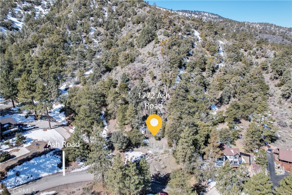 1772 Ash Property Photo 3