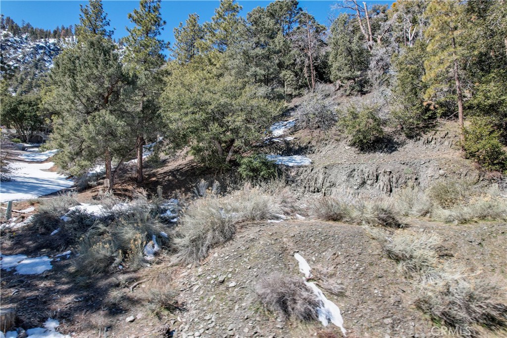 1772 Ash Property Photo 6
