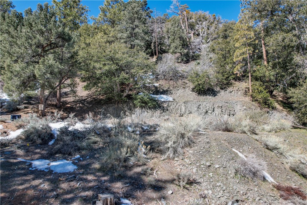 1772 Ash Property Photo 7