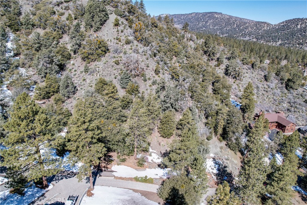 1772 Ash Property Photo 8