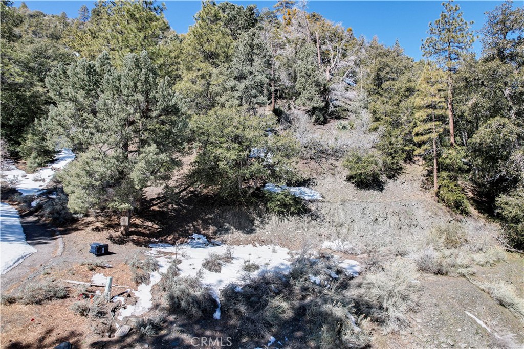 1772 Ash Property Photo 11