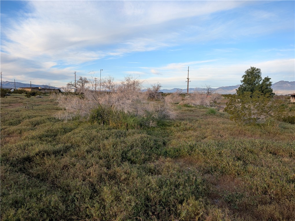 0 Jacks Ranch Rd Property Photo 1