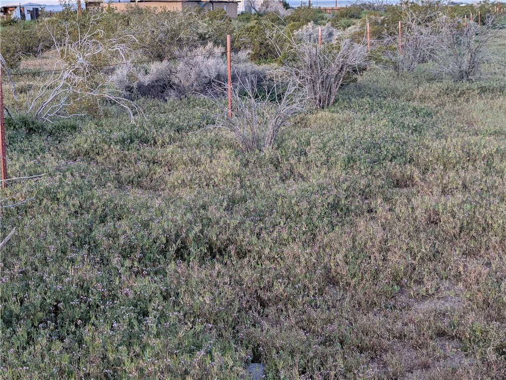 0 Jacks Ranch Rd Property Photo 7