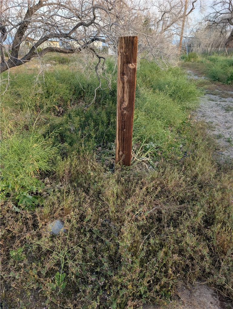 0 Jacks Ranch Rd Property Photo 17