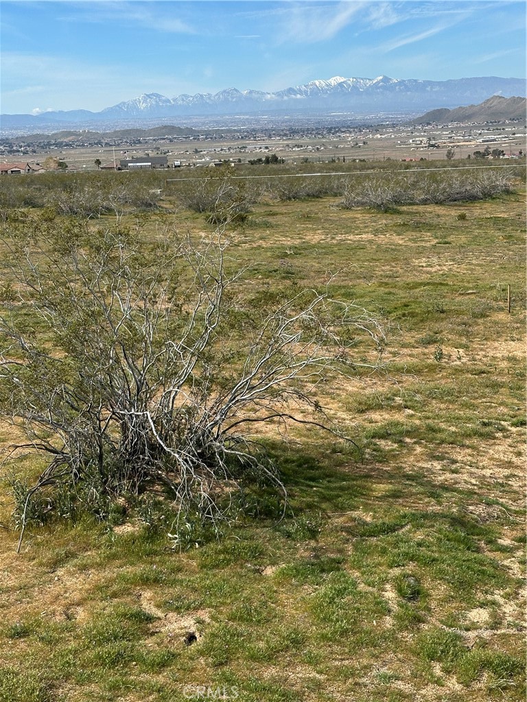 0 Chrysolite Property Photo 3